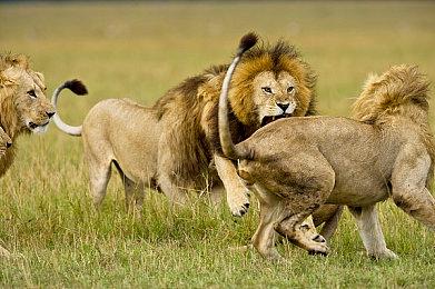 2D横版动作射击游戏的合集《二战前线合集》Steam页面上线 7月24日发售